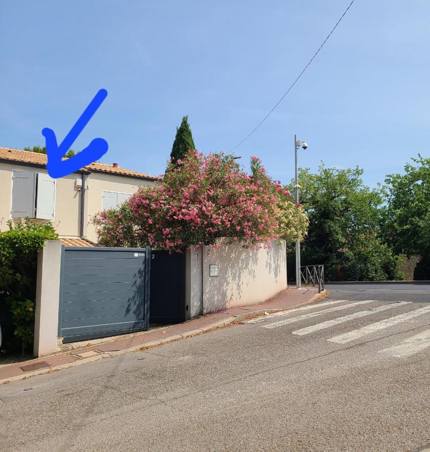 Chez Nous Dans Notre Petit Jardin Appartamento Montpellier Esterno foto