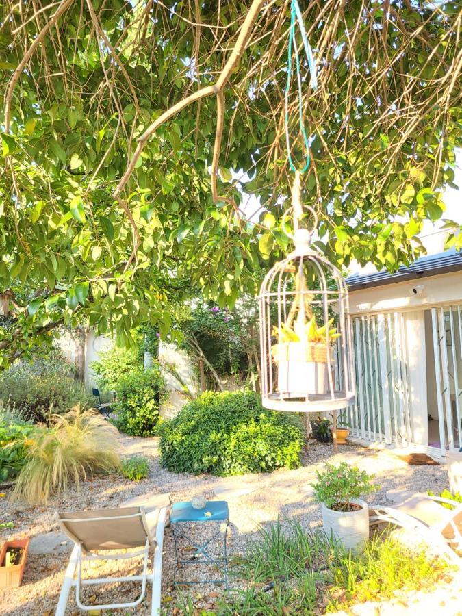 Chez Nous Dans Notre Petit Jardin Appartamento Montpellier Esterno foto