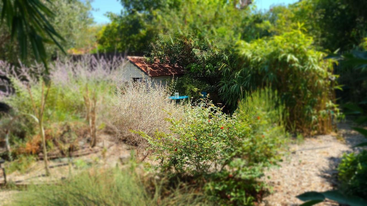Chez Nous Dans Notre Petit Jardin Appartamento Montpellier Esterno foto
